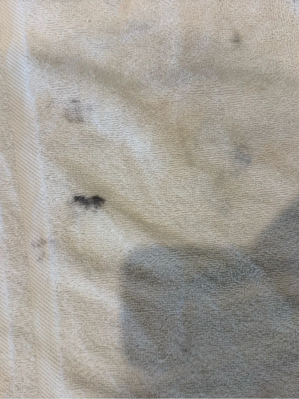 Ralph Lauren Polo Bear Beach Towwl